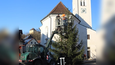 Der Christbaum des Marktes Rieden wurde vom Heimatverein mit Hilfe der Feuerwehr Rieden vor dem Ersten Advent auf dem Marktplatz aufgestellt. (Bild: Michael Rabenhofer )