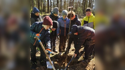 Schüler beim Pflanzen der Obstbäume (Bild: Barbara Strenge)