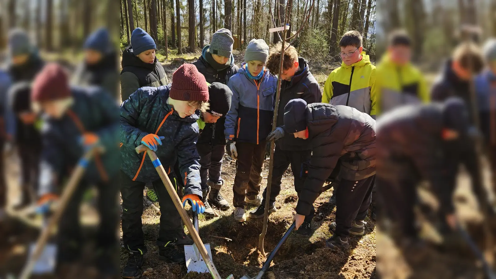 Schüler beim Pflanzen der Obstbäume (Bild: Barbara Strenge)