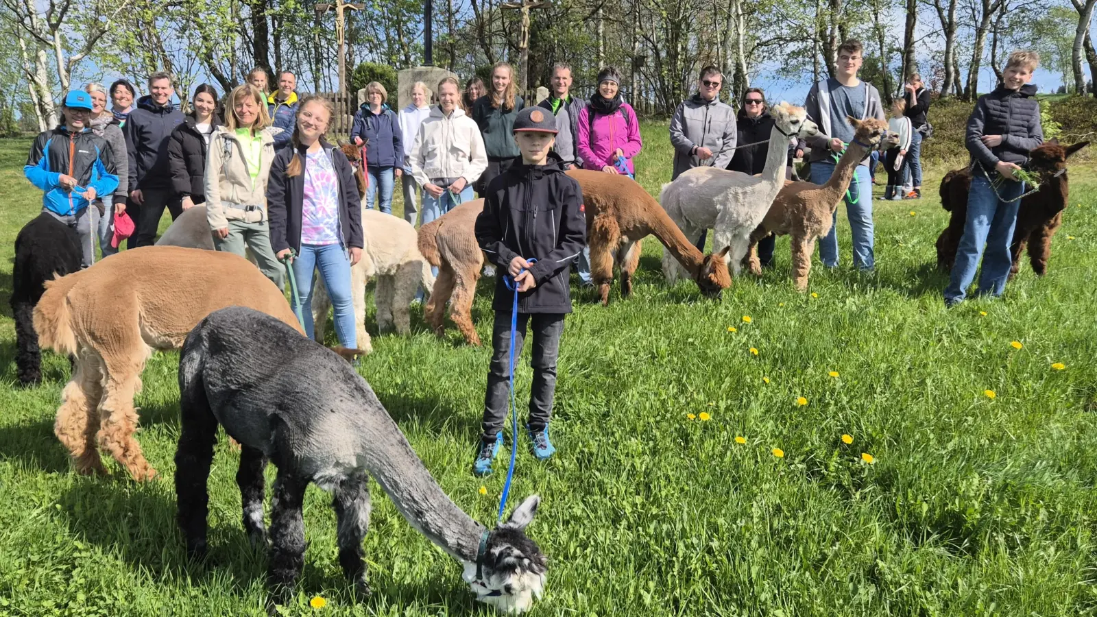 Die Kolpingsfamilie Friedenfels unterwegs mit den Alpakas vom Weißenstein. (Bild: Reiner Gärtner)