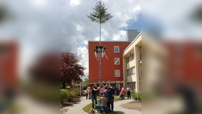 Maibaum aufstellen im Caritas Alten- und Pflegeheim Prälat-Walter-Siegert-Haus in Vohenstrauß. <br><br> (Bild: Steffi Holler/exb)