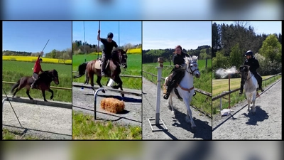 Reiten mal mittelalterlich: Ringestechen, Sauhatz, Hälseschlagen und Keulenschlag (von links)  (Bild: Andrea Stadler)
