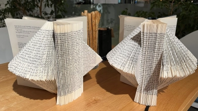 Aktion zur Langen Nacht der Bibliotheken in Mitterteich: Bücher falten. (Bild: Pia Heinrich)