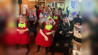 Weiberfasching beim SV Loderhof. (Bild: Gerda Donhauser)