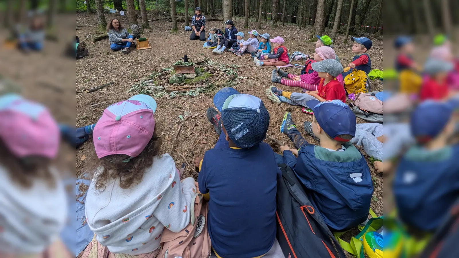 Besuch des Habichtskauz bei den Waldtagen (Bild: Eva Glowka)