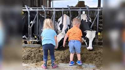 Für die Kinder war es besonders beeindruckend die Kühe in Echt zu sehen (Bild: Matthias Walk)