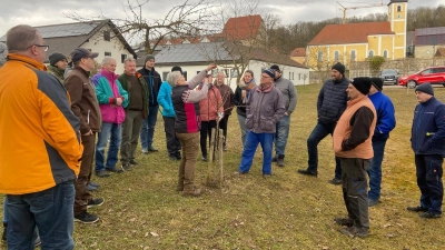 Die stellvertretende Kreisvorsitzende Agnes Feuerer führte durch den Baumschneidekurs des OGV Wolfring und gab ihr Wissen weiter.  (Bild: Matthias Beer)