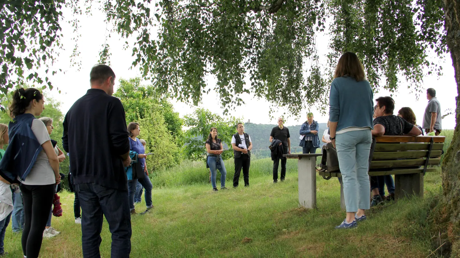 Der Platz mit besonderer Ausstrahlung an der „Birke“ war erstes Ziel der Querfeldein-Wanderung. Im Bild ein Teil der Wanderer, die den sinngebenden Impulsen von PGR-Sprecherin Irmgard Glaser aufmerksam zuhörten. (Bild: Josef Böhm)