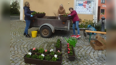Fleißige Helferinnen verschönern den Marktplatz.  (Bild: Adolf Mandl)