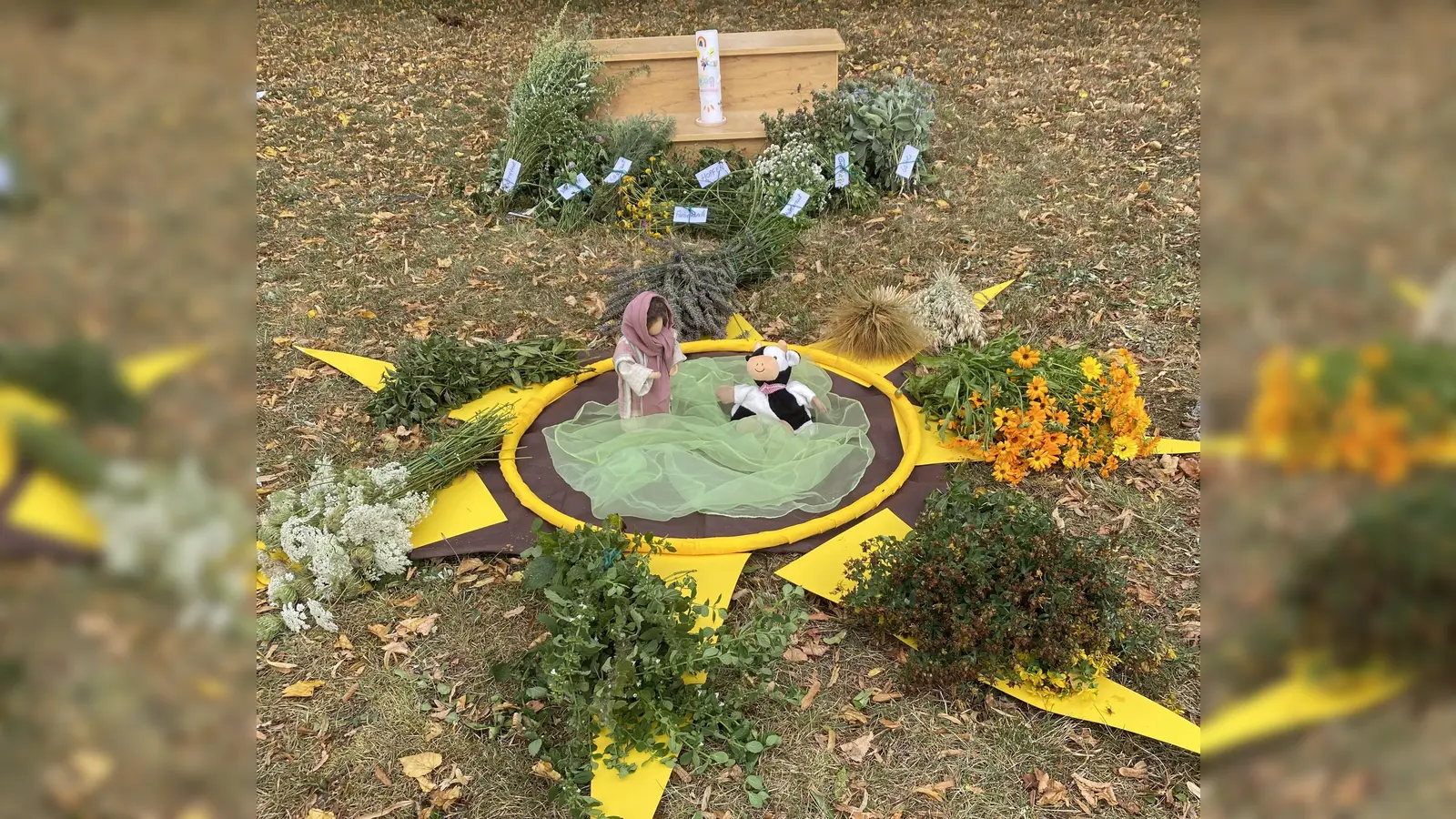 Flecki trifft Maria auf der Kräuterwiese (Bild: Maria Stich)