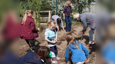 Den Kindern machte die Arbeit im Kartoffelfeld sichtlich Spaß.  (Bild: Gerd Neumann )