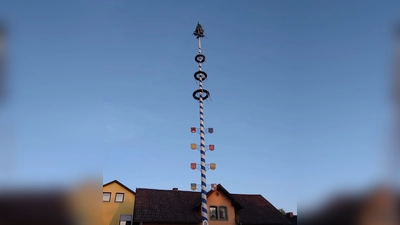Maibaum des OWV Waldthurn (Bild: Roman Bauer)