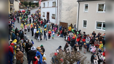 Faschingszug der Pfadfinder Neuhaus (Bild: Julia Franz)