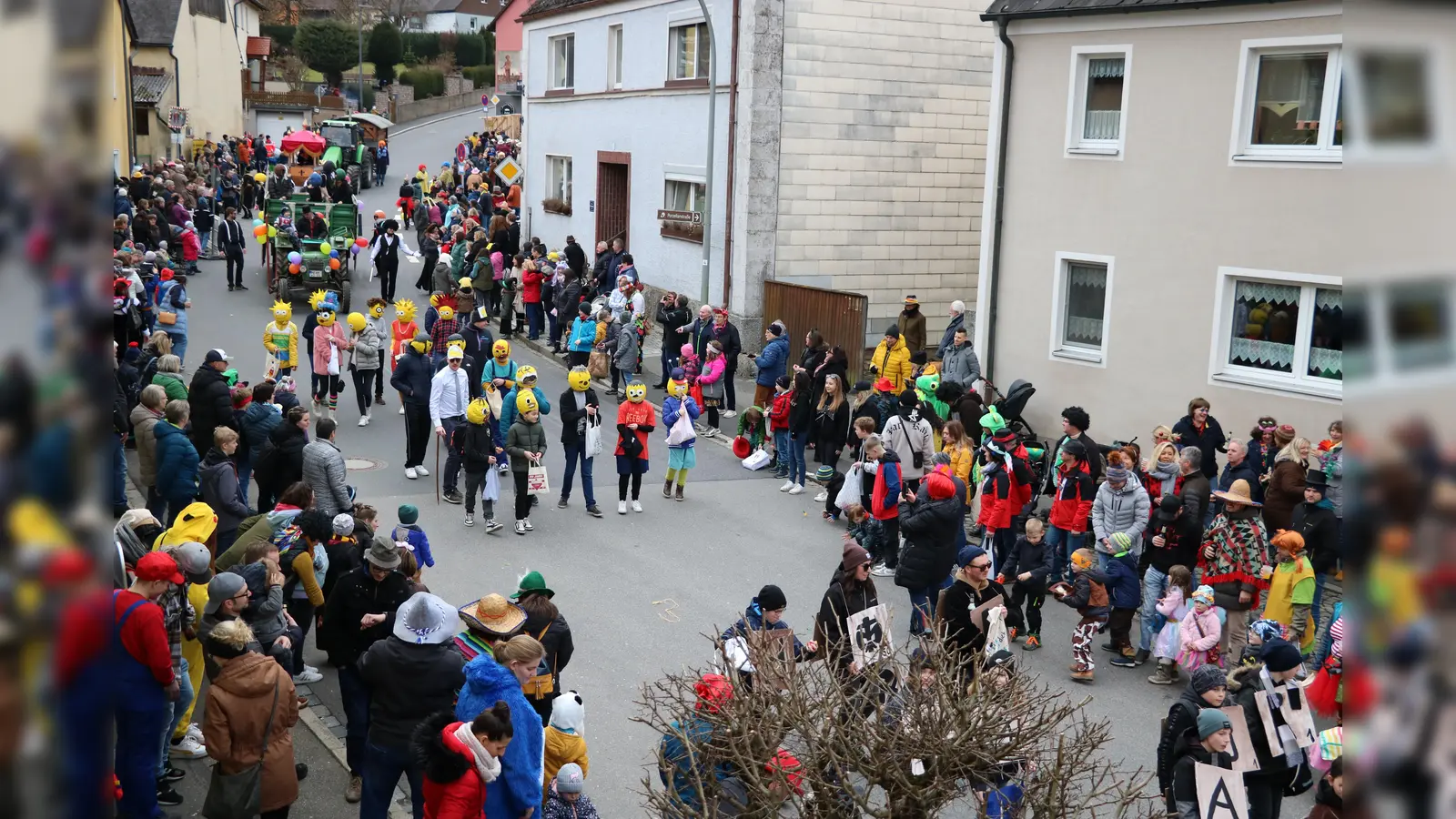 Faschingszug der Pfadfinder Neuhaus (Bild: Julia Franz)
