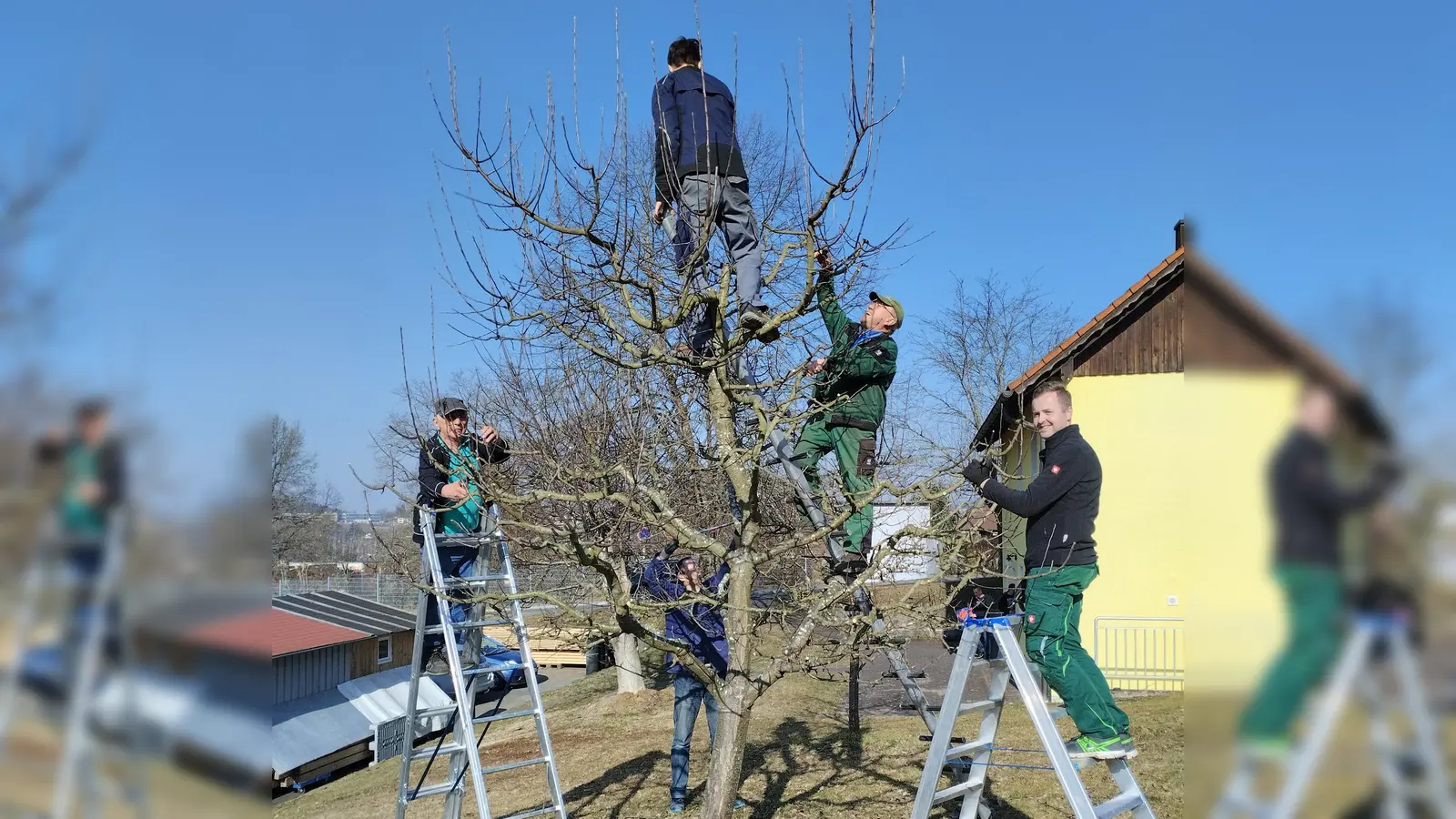 Schnittübungen an den Obstbäumen vertieften das Gelernte.  (Bild: Karl Ruhland)
