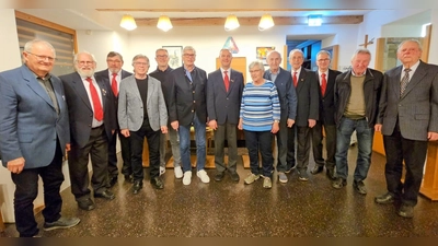 Das Foto zeigt die zuletzt amtierende Vorstandschaft sowie die zu Ehrenden. (Bild: Markus Schuller)