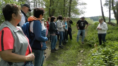 Kräuterwanderung der Kolpingsfamilie Oberviechtach (Bild: Anita Niebauer)