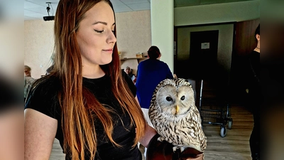 Habichtskauz „Birke” beim Besuch im Betreuten Wohnen in Kemnath.  (Bild: Ramona Müller )