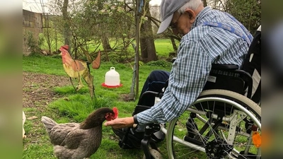 Tierkontakt tut der Seele gut und wird groß geschrieben beim Seniorenwohnen auf dem Bauernhof (Bild: AELF Passau Schmid)