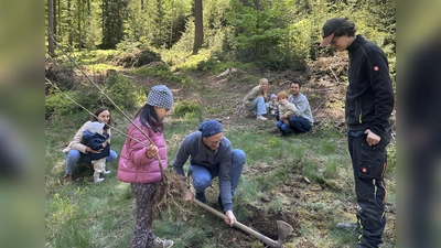 Familien pflanzen einen Baum für ihr Neugeborenes im Stadtwald auf der Luisenburg. (Bild: Vanessa Mauersberger)