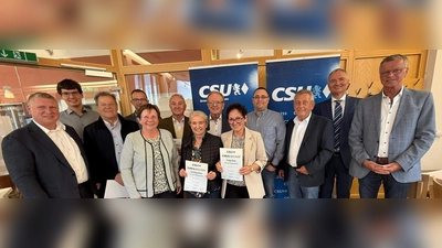 Beim Ehrenabend von links: OV Martin Merkl, stv. OV Christoph Freimuth, Peter Leitsoni, 3. Bgm. Hermann Gebhard, 2. Bgm. Bärbel Birner, Heribert Fleischmann, Anneliese Rösch, stv. OV Hans-Jürgen Schönberger, Gisela König, Christoph Bayer, Ehren-OV Werner Schulz, MdL Harald Schwarz, 1. Bgm. Hermann Falk.<br><br> (Bild: Reinhold Birner)