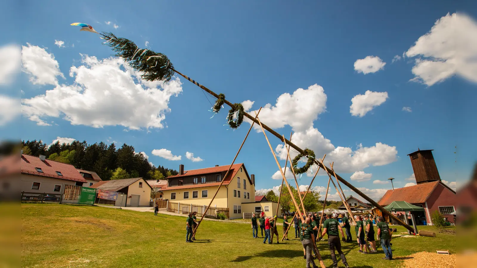 Aufstellen des Maibaums mit Schwalben. (Bild: Johannes Breitschaft)