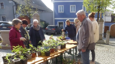 Reichliche Auswahl herrschte bei der Tauschbörse des Gartenbauvereins Schwarzhofen.  (Bild: Adolf Mandl)
