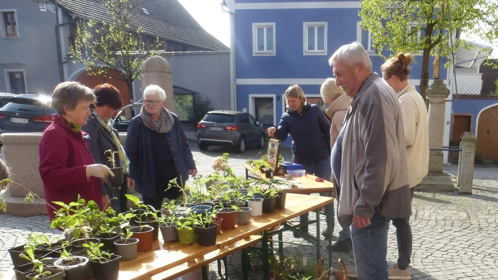 Reichliche Auswahl herrschte bei der Tauschbörse des Gartenbauvereins Schwarzhofen.  (Bild: Adolf Mandl)