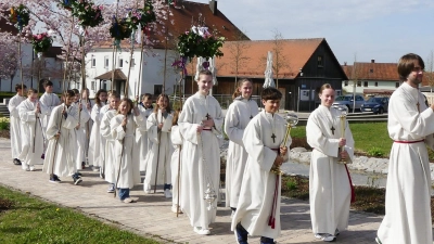 Die Ursensollener Ministranten nahmen auch dieses Jahr mit ihren imposanten Riesen-Palmbuschen an der Palmprozession teil.  (Bild: Anni Lehmeier )