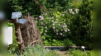 Führung durch den Kloster- und Naturerlebnisgarten (Bild: Tanja Schedl)