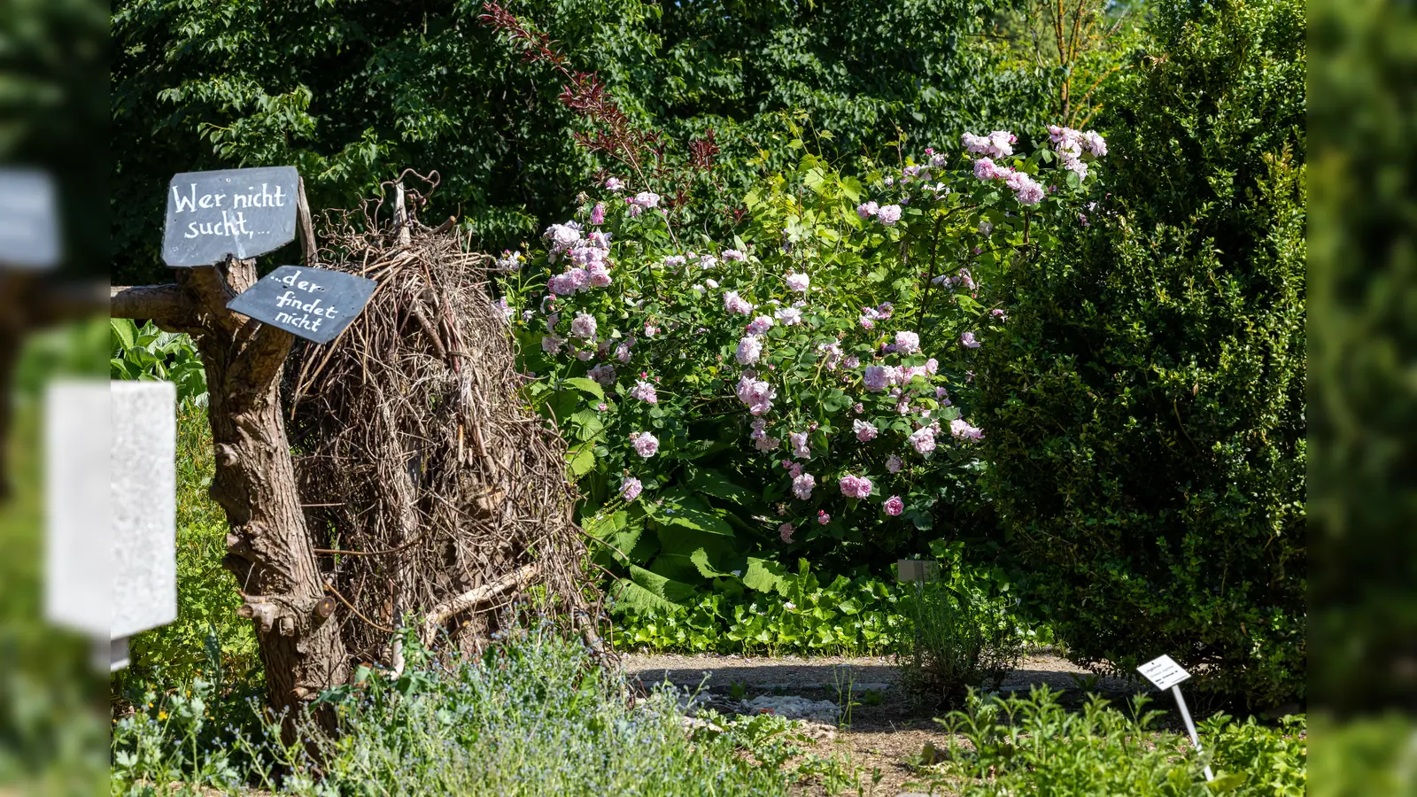 Führung durch den Kloster- und Naturerlebnisgarten (Bild: Tanja Schedl)