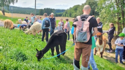 auf dem Bild sieht man die Wandergruppe mit den Alpakas durch die Natur (Bild: Alexander Hörl)