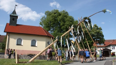 Mit viel Hauruck wurde bei besten Frühlingswetter der Maibaum in die Senkrechte gebracht. (Bild: Bernhard Zimmet) (Bild: Bernhard Zimmet)